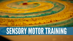 special needs sensory motor training